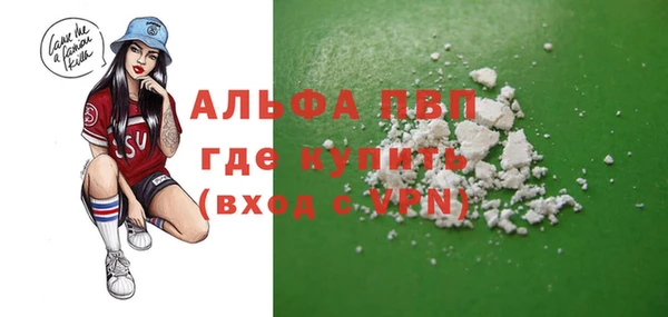 тгк Новодвинск