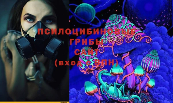 apvp Нягань