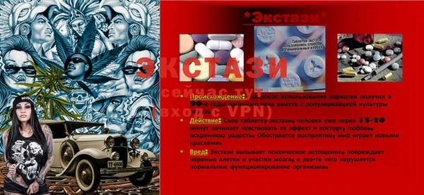 ECSTASY Няндома